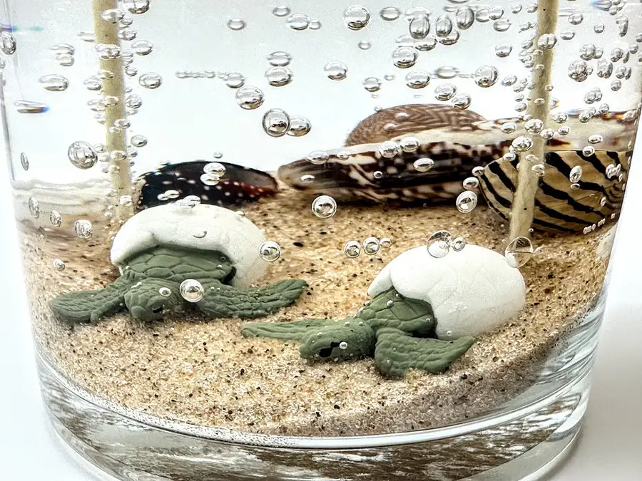 Devonian Coast - Wholesale Novelty Candle - Sea Turtle Hatchling Gel Candle – Large 8oz Wax1