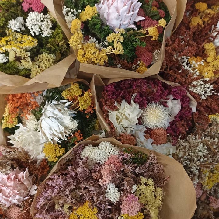 Concari.flores Preservadas – Großhandel Getrocknete/gepresste Blumen – KONSERVIERTER STRAUSS