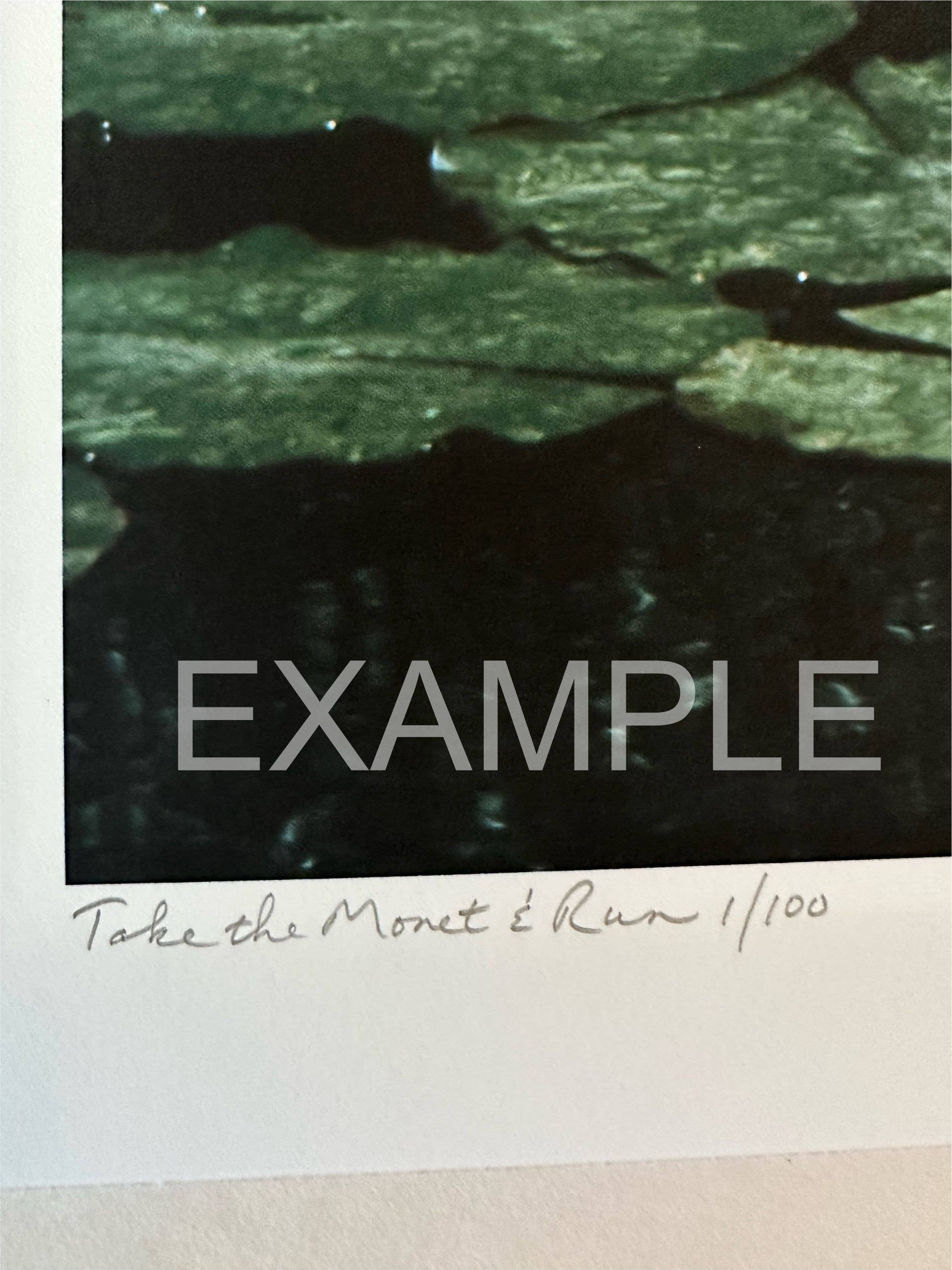 Alter Images Art - Wholesale Art Print - Receipt Series: A Clockwork Orange 18x243