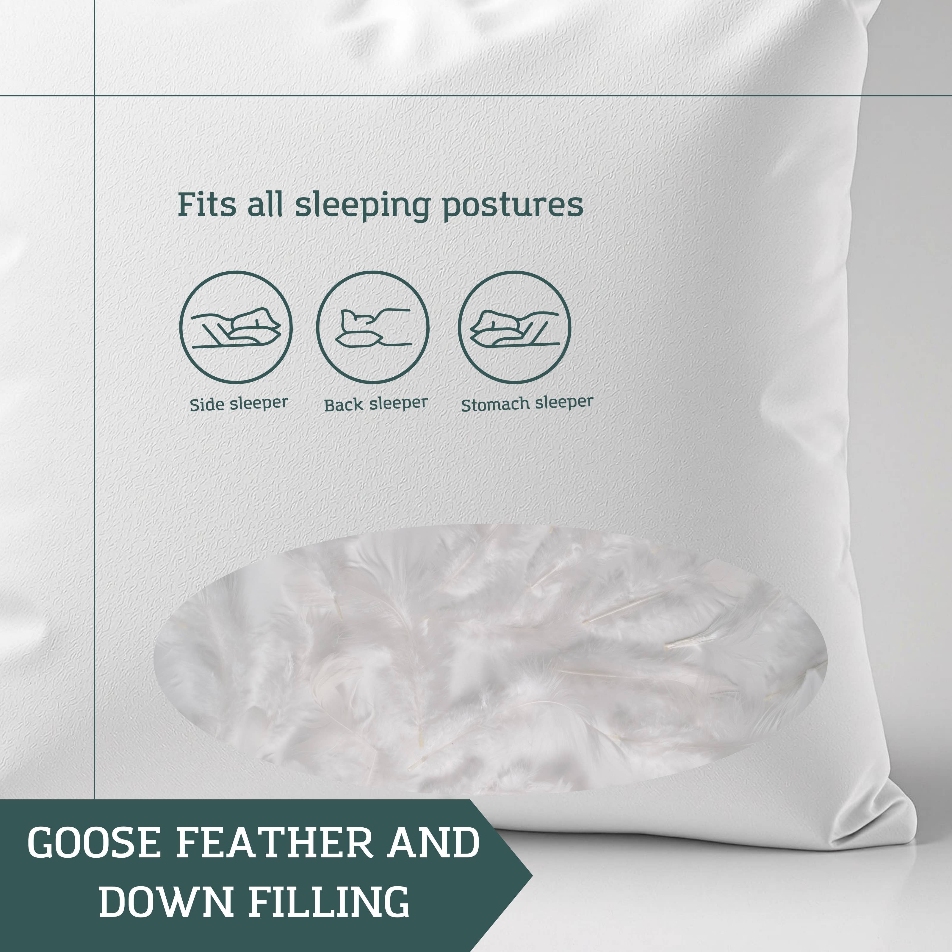 India's Heritage - Venta al por mayor Rellenos de cojines - Rellenos rectangulares de plumas y plumón, 33 cm x 53 cm8