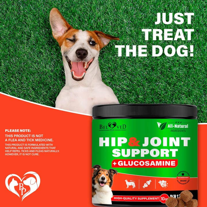 Beloved Pets - Wholesale Pet Supplement - Dog - Dog Hip and Joint Supplement & Arthritis Pain Relief Treats - Glucosamine Chondroitin MSM Soft Chews for Senior Dogs - Natural Medicine & Support Mobility - Turmeric Vitamins for Dysplasia - USA6