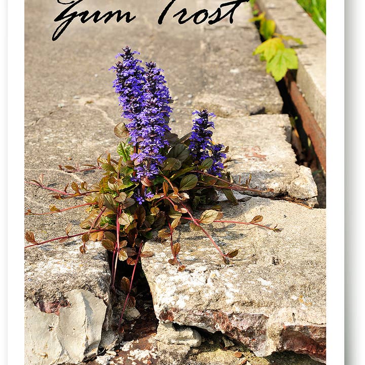 Anteilnahme / Trauer / Trost / Grußkarte / 819131 für den Großhandel von Yabué