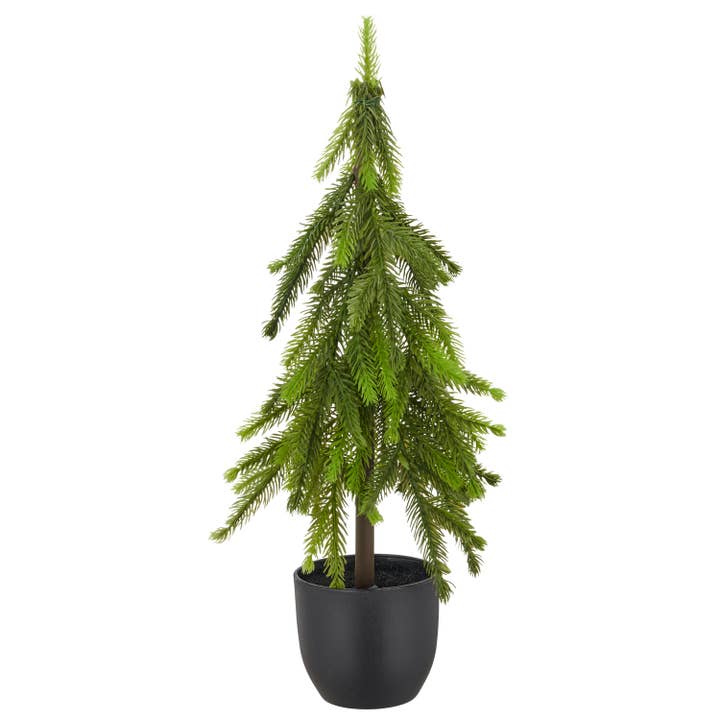 Fir tree, 45cm, green, in pot 9x9x9cm for wholesale by GASPER GmbH