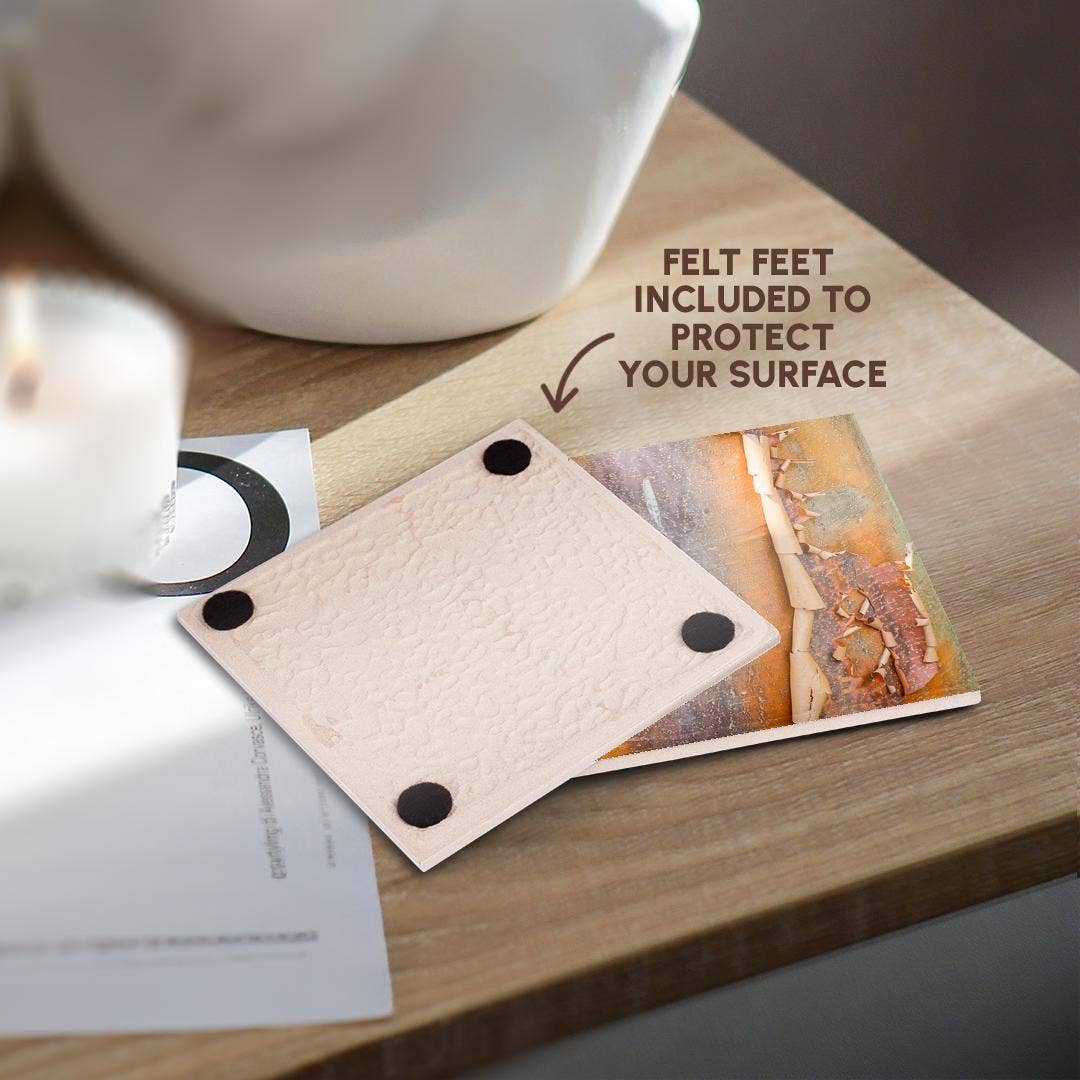 3dRose - Wholesale Coasters - 3dRose, USA, Washington State. Bellevue Botanical garden and tree bark, Coaster3