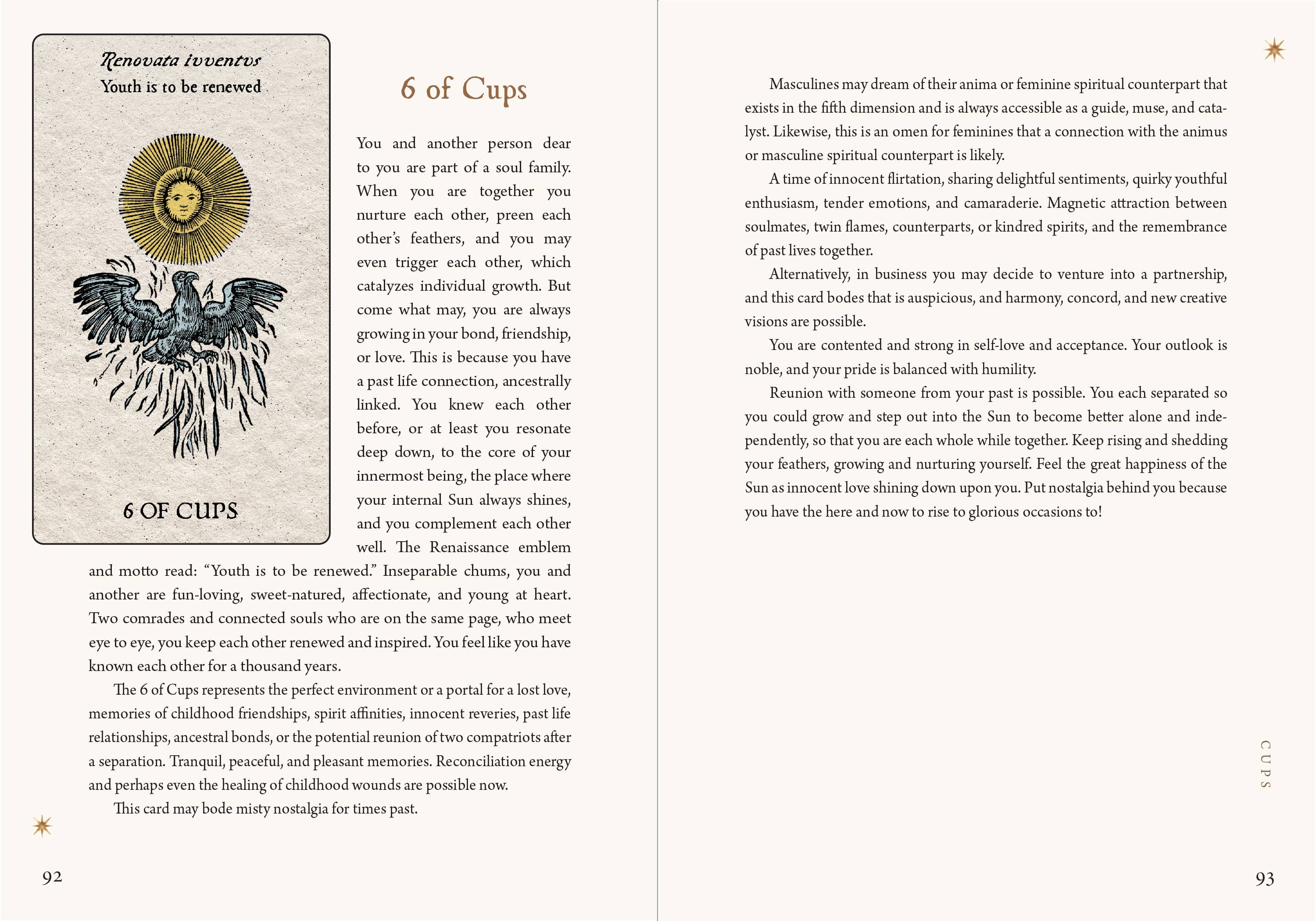 Red Wheel/Weiser LLC - Wholesale Tarot Cards - Tarot Emblemata: 83 Cards & 192-Page Guidebook4