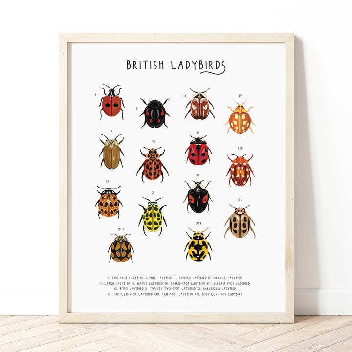 British Ladybirds Print for wholesale by Bea Baranowska Illustration