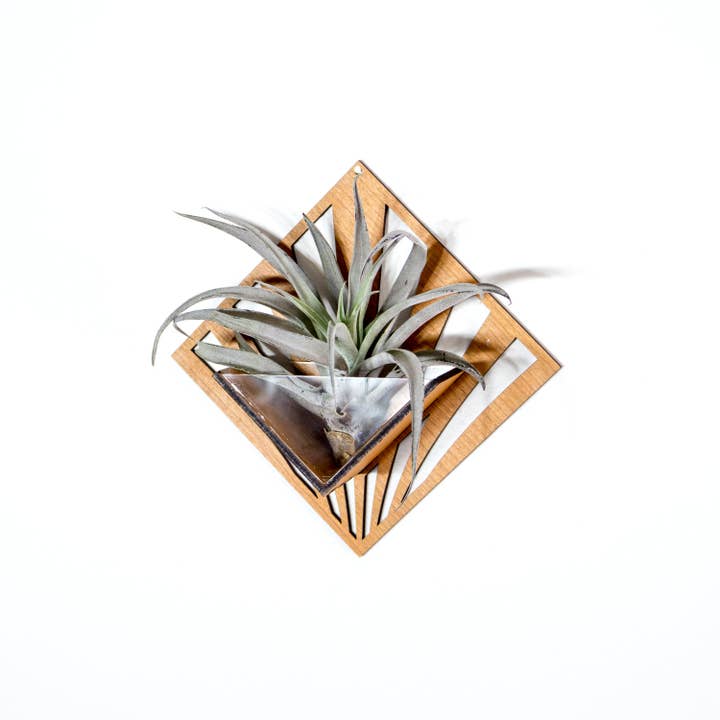 LIGHT RAZOR DESIGN STUDIO - Wholesale Wall planter - Air Plant Holder / Quadrate Wall Hanging Planter 261