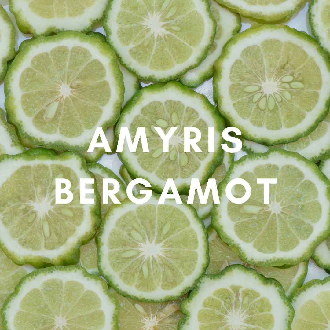 SunLeaf Naturals - Wholesale Reed Diffuser - 3 oz Reed Diffuser - Amyris Bergamot1