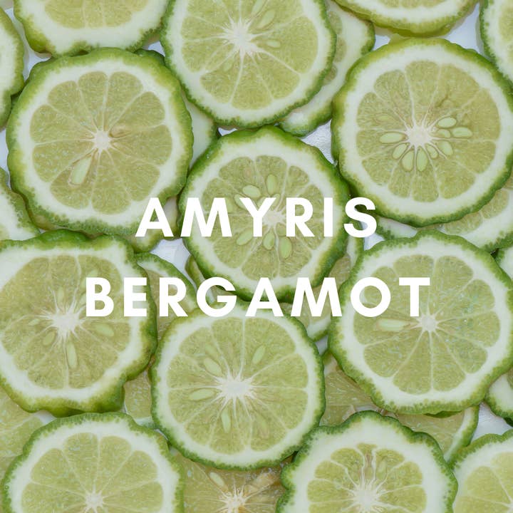SunLeaf Naturals - Wholesale Reed Diffuser - 3 oz Reed Diffuser - Amyris Bergamot1