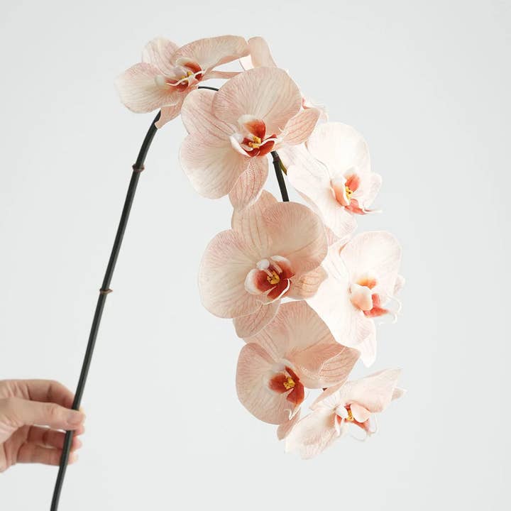 JKF & Co Pty Ltd - Wholesale Artificial flowers - Real Touch Phalaenopsis Orchid Stem Peachy Pink