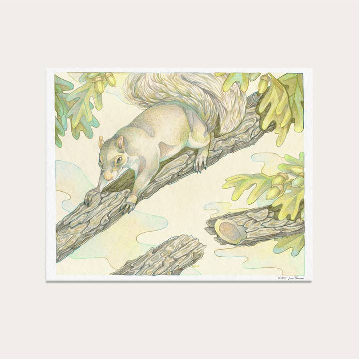 Fine Art Print: Nor'Easter Squirrel: 8 x 10 in. for wholesale by KL Bierman