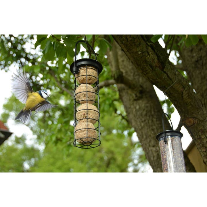 NACH - Wholesale Bird Feeder - Suet Ball Dispenser, Excl. Bird Food1