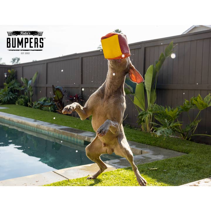 Katie's Bumpers - Vente Balle – chien - NOUVEAU !! Fire Balls de Katie's Bumpers6