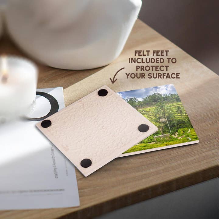 3dRose - Wholesale Coasters - 3dRose, Rice fields at Tegallalang Rice Terrace, Bali, Indonesia, Coaster3