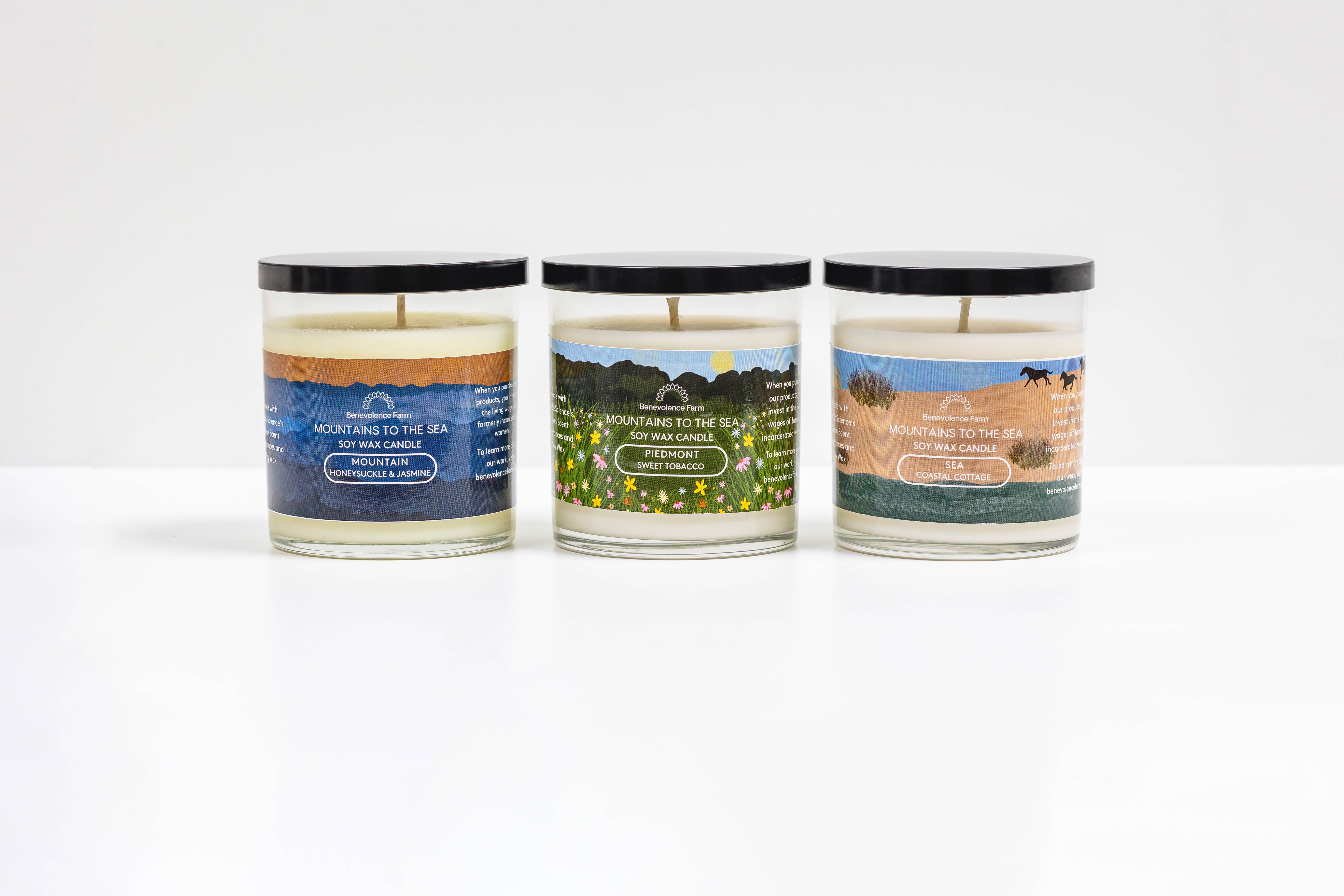 Benevolence Farm - Wholesale Gift Box - Mountains To The Sea Candle Gift Box