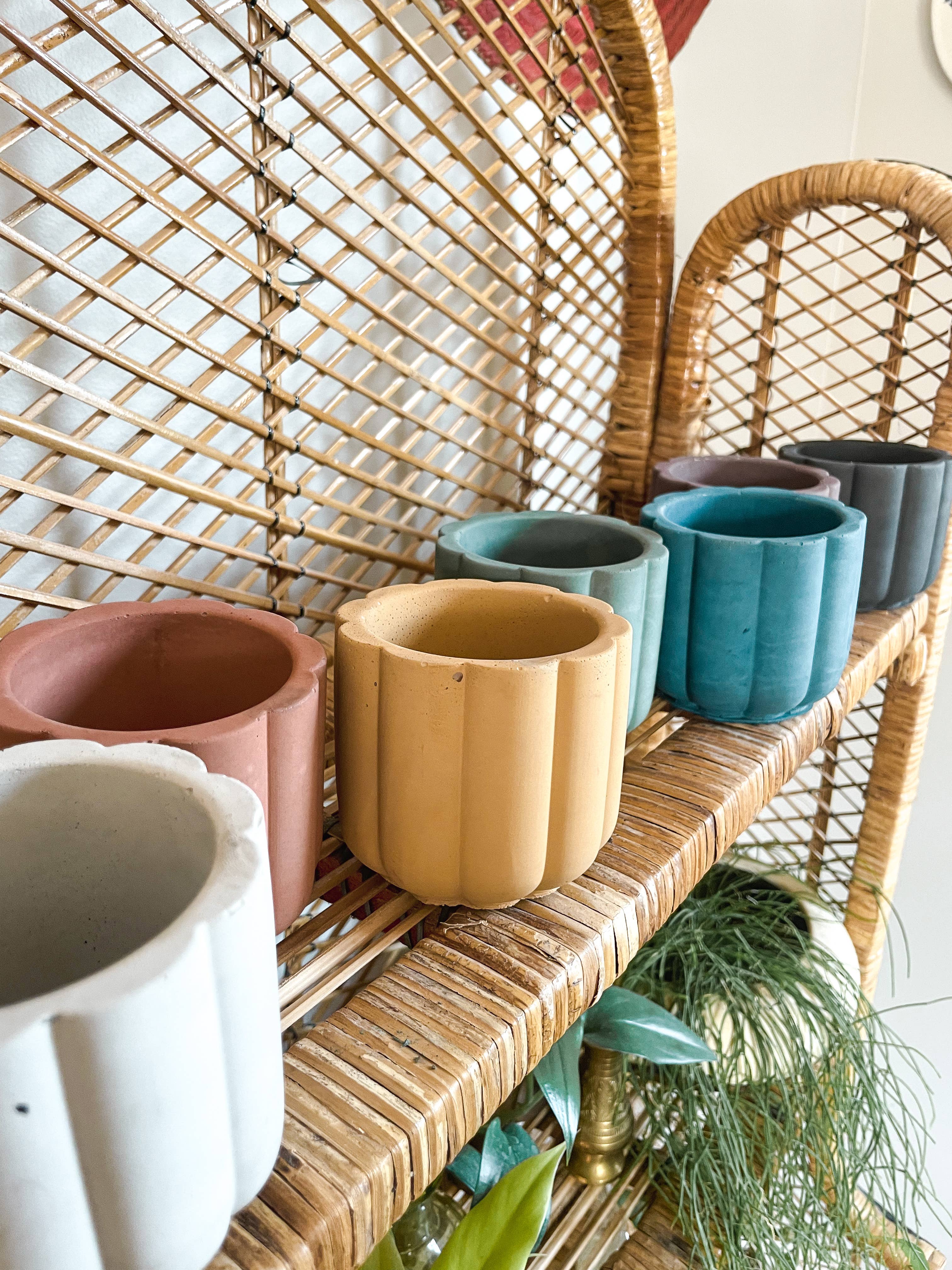 Green Jeans Houseplants - Vente Pot - Jardinière en ciment festonné7