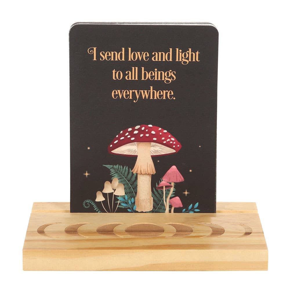 Something Different Wholesale - Wholesale Stationery/Notecard Set - Mystical Mushroom Affirmation Cards with Wooden Stand1