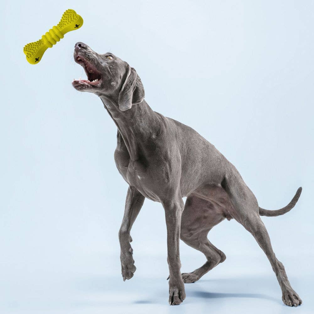 Croci S.p.A. - Wholesale Pet Toy - Dog - Natural rubber dog bone - Panton - Crosses4