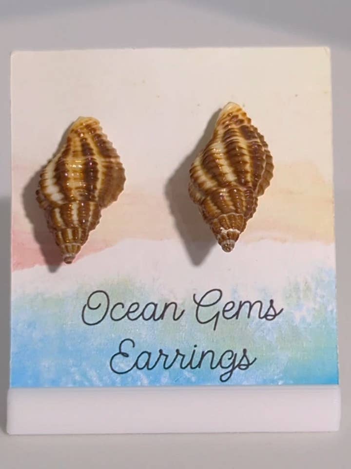 Pollia Fumosa Schelphoorn Oorbellen voor wholesale door Ocean Gems And More
