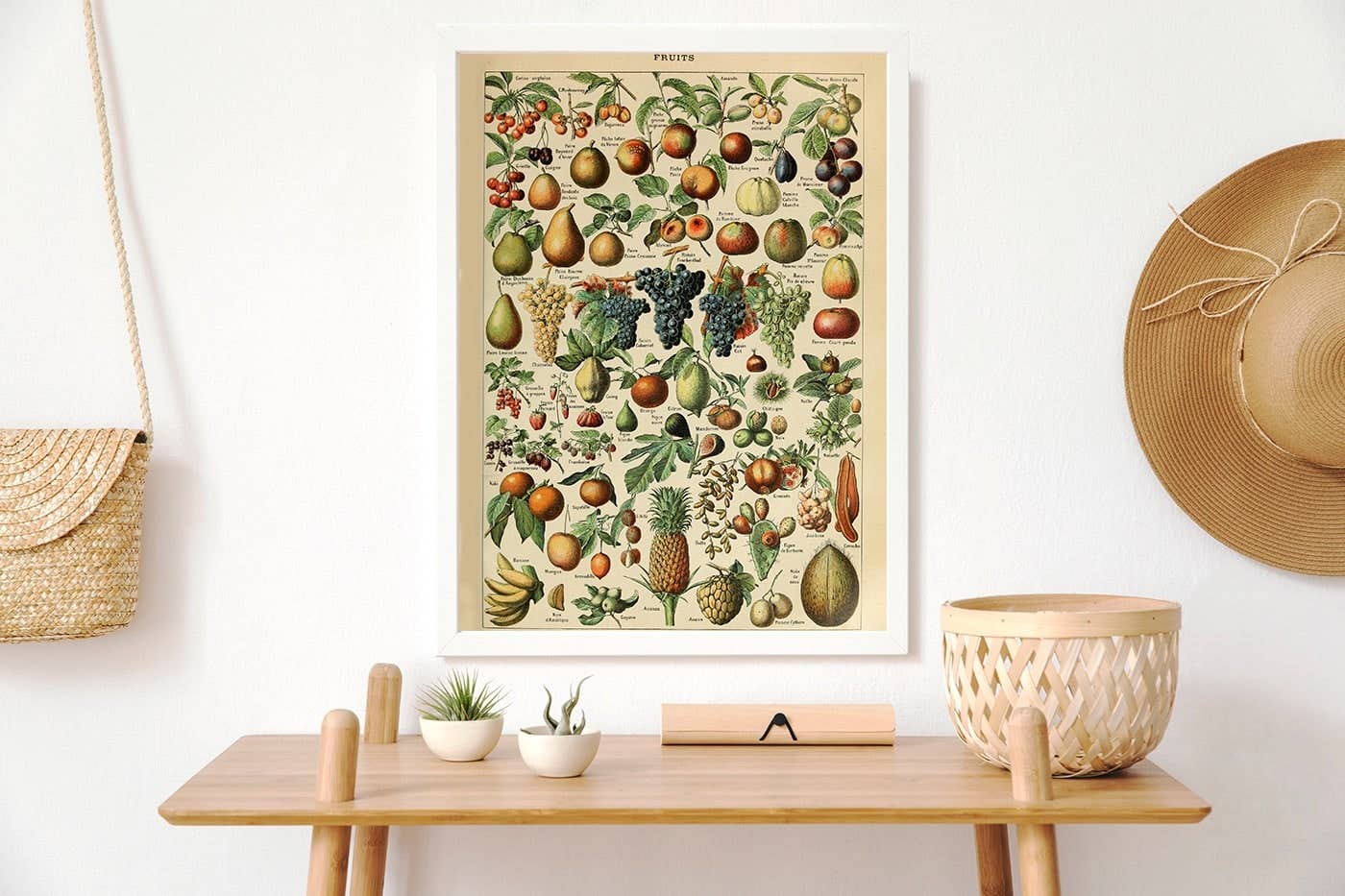 Esque - Wholesale Poster - Vintage Fruit Poster - Millot1