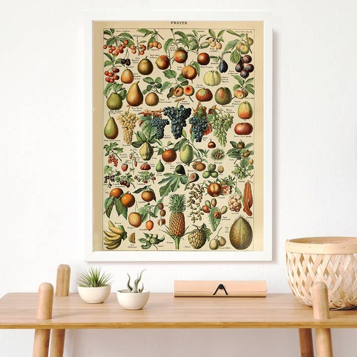 Esque - Venta al por mayor Pósteres - Póster vintage de frutas - Millot1