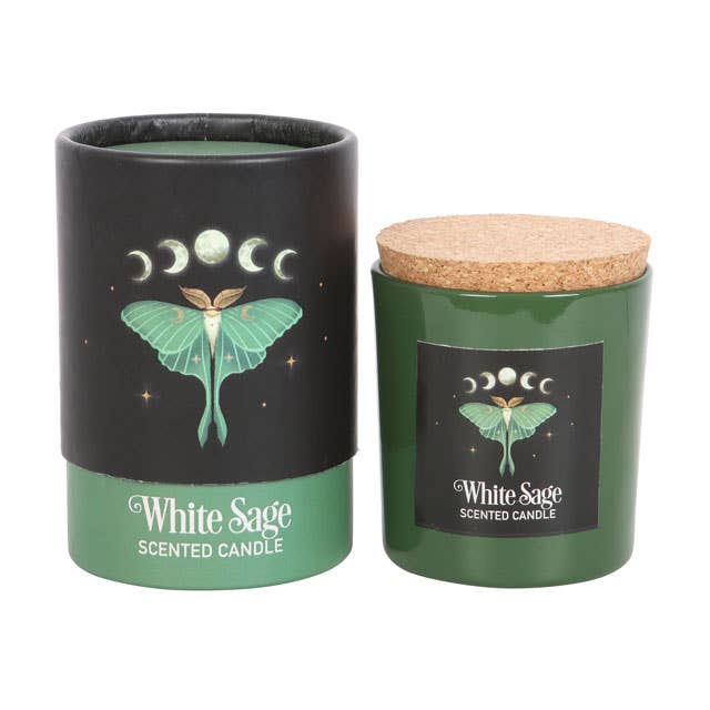 Something Different Wholesale - Wholesale Jar/Filled Candle - Luna Moth White Sage Candle5