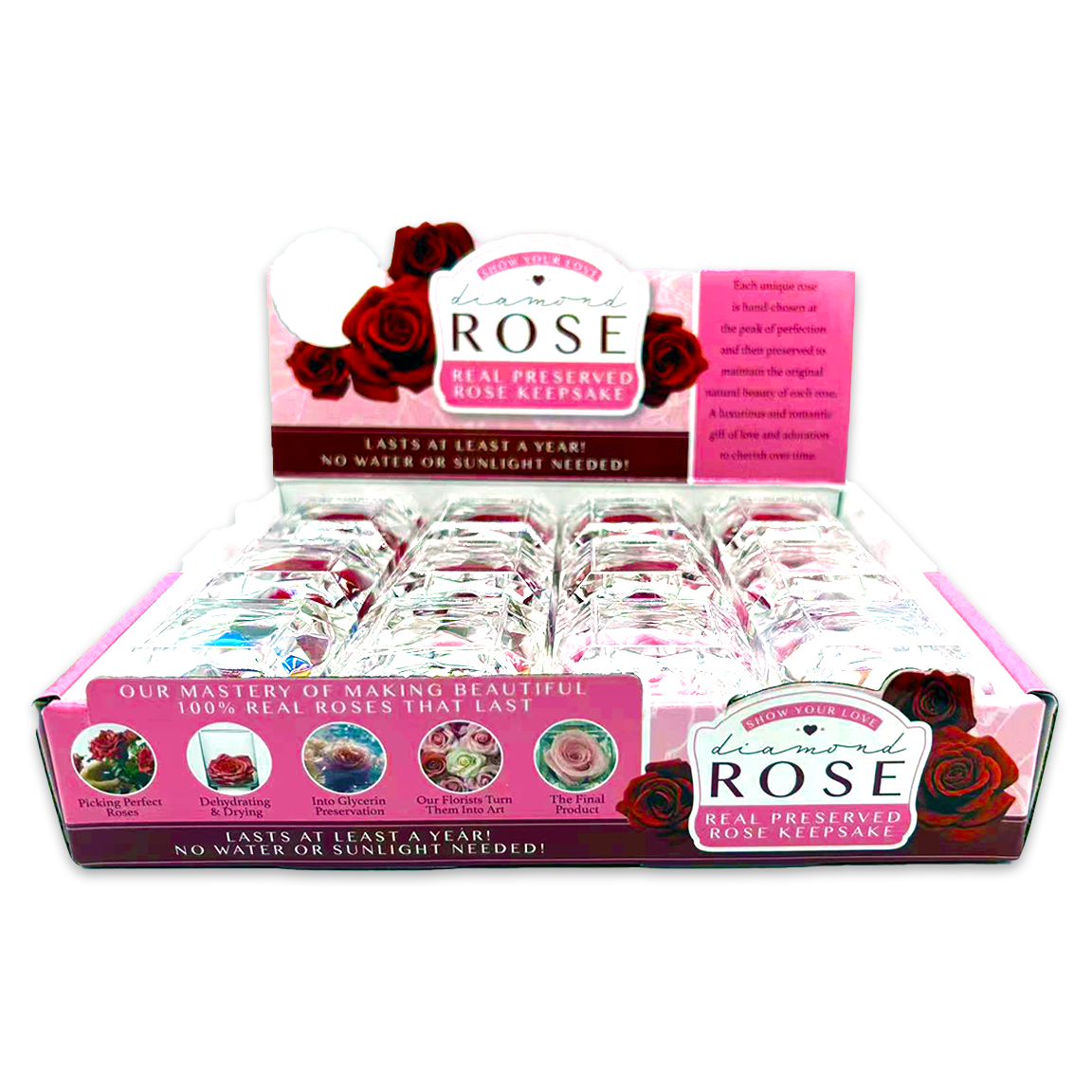 Novelty Brands - Wholesale Retailer Display - Home & Living - Real Preserved Rose Keepsake Gift Assortment - 12/Display4