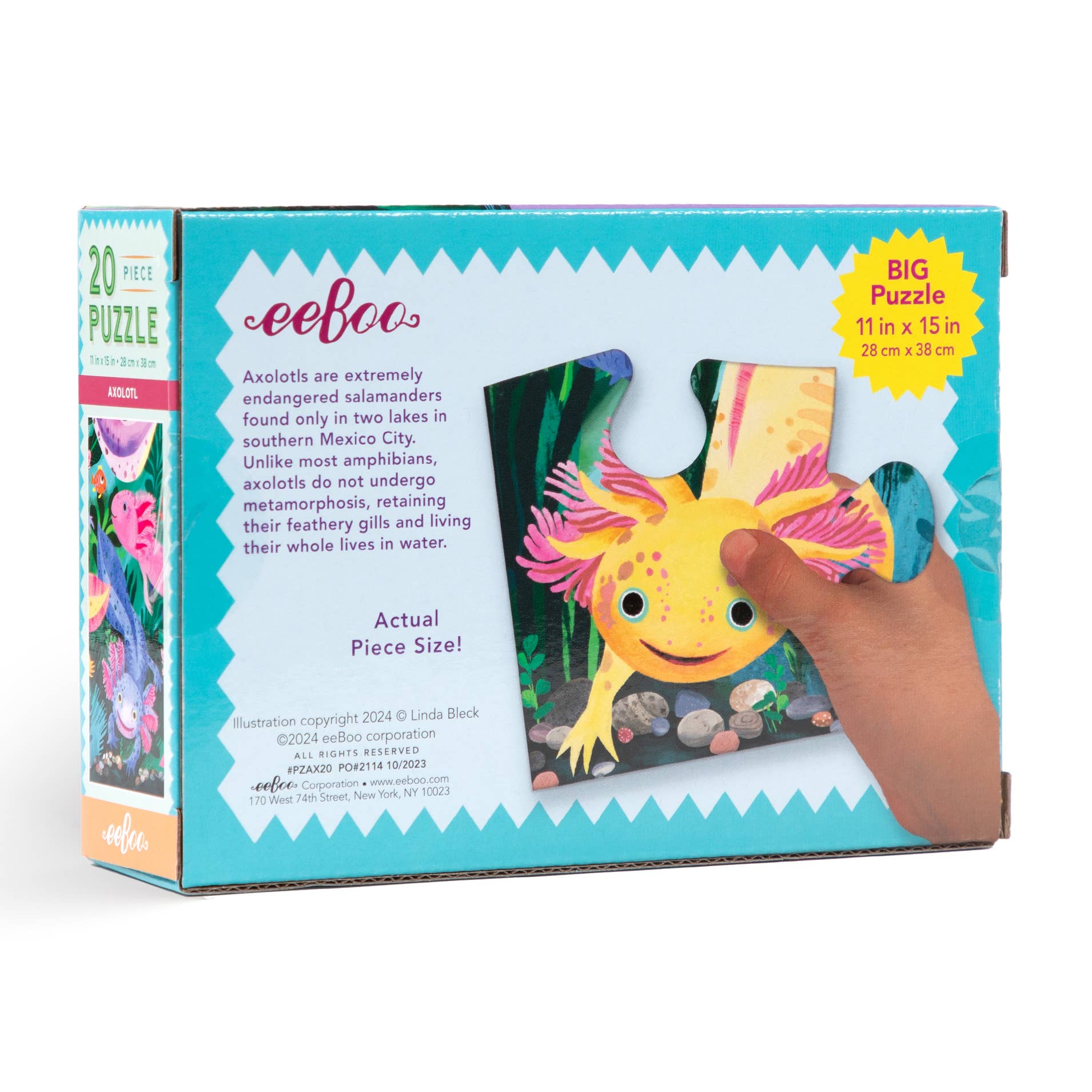 eeBoo - Vente Puzzle – enfant - Puzzle de 20 pièces Axolotl1