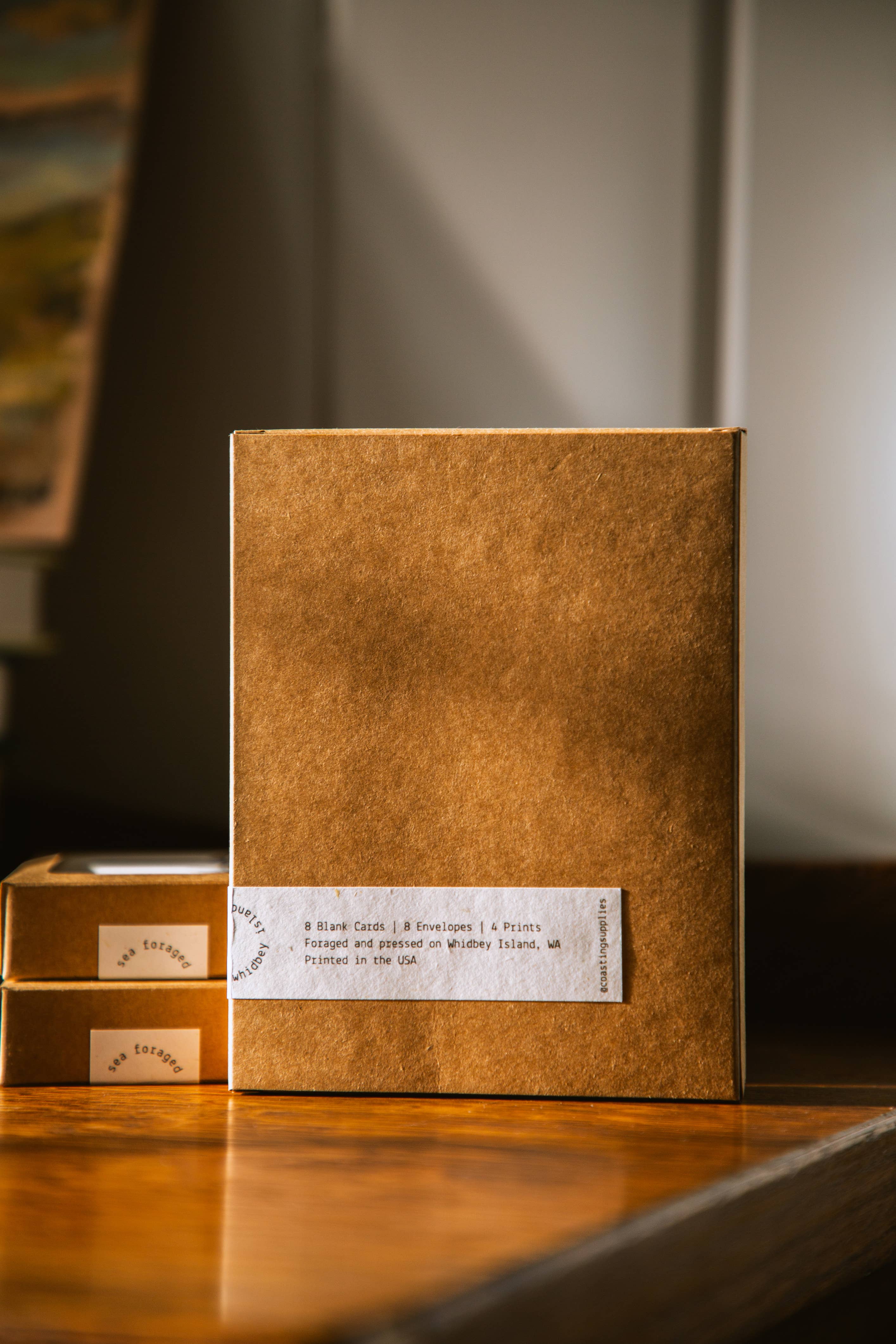 Coasting Supplies - Venta al por mayor Tarjetas de felicitación - Recolectado del Mar: conjunto de 8 cartas1