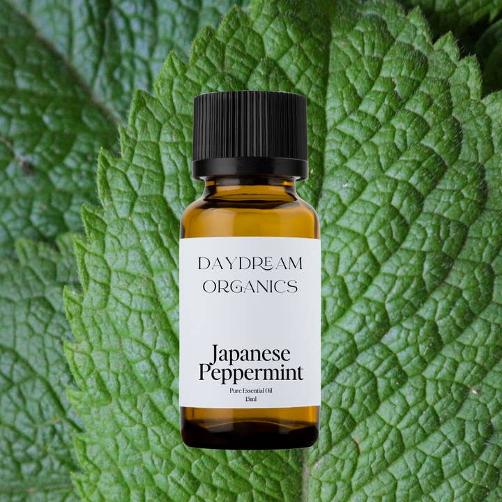Daydream Organics | Prairie Doctor Brand - Wholesale Essential Oil - Peppermint (Japanese) Essential Oil