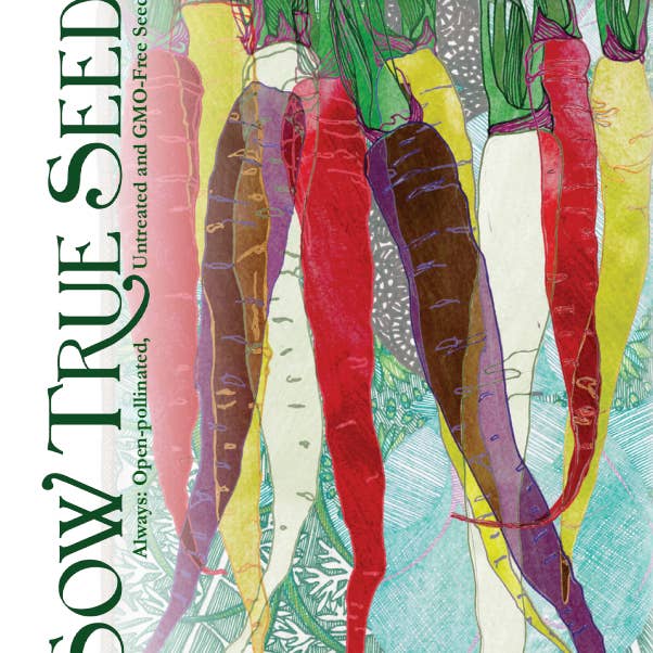 Sow True Seed - Wholesale Plant Seeds - Carrot Seeds - Rainbow Blend