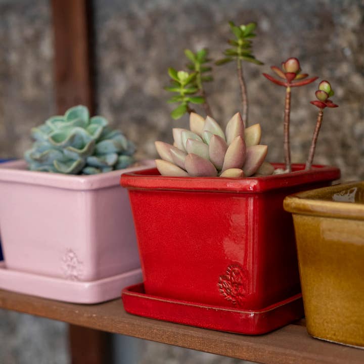 SQUARE BOWL 10x14 - SHINE for wholesale by Vasos Quadrados by EM