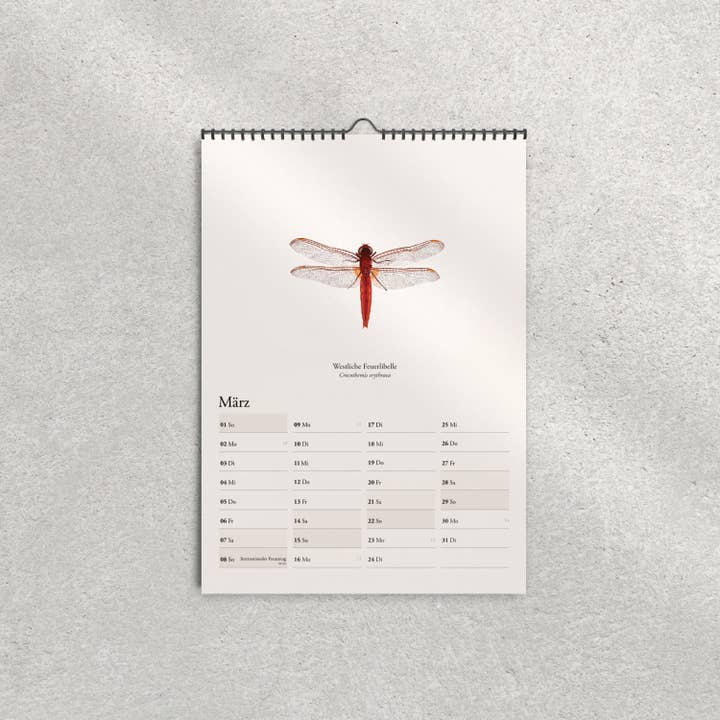 Terillu - Wholesale Calendar - Wall calendar 2026, calendar native dragonflies in A3 format3
