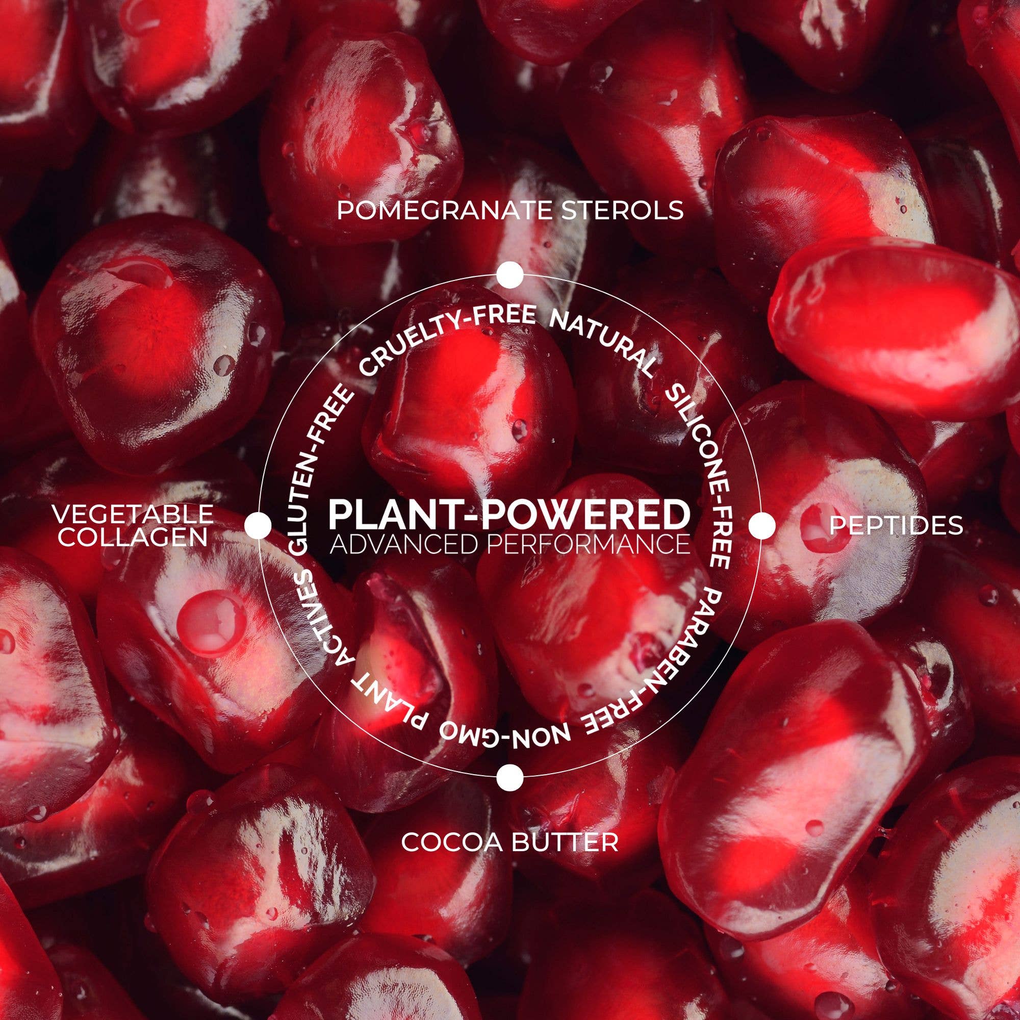 Fitglow Beauty - Vente Rouges à lèvres - Palette de Rouges à Lèvres Crème 8 Teintes - Édition Limitée3