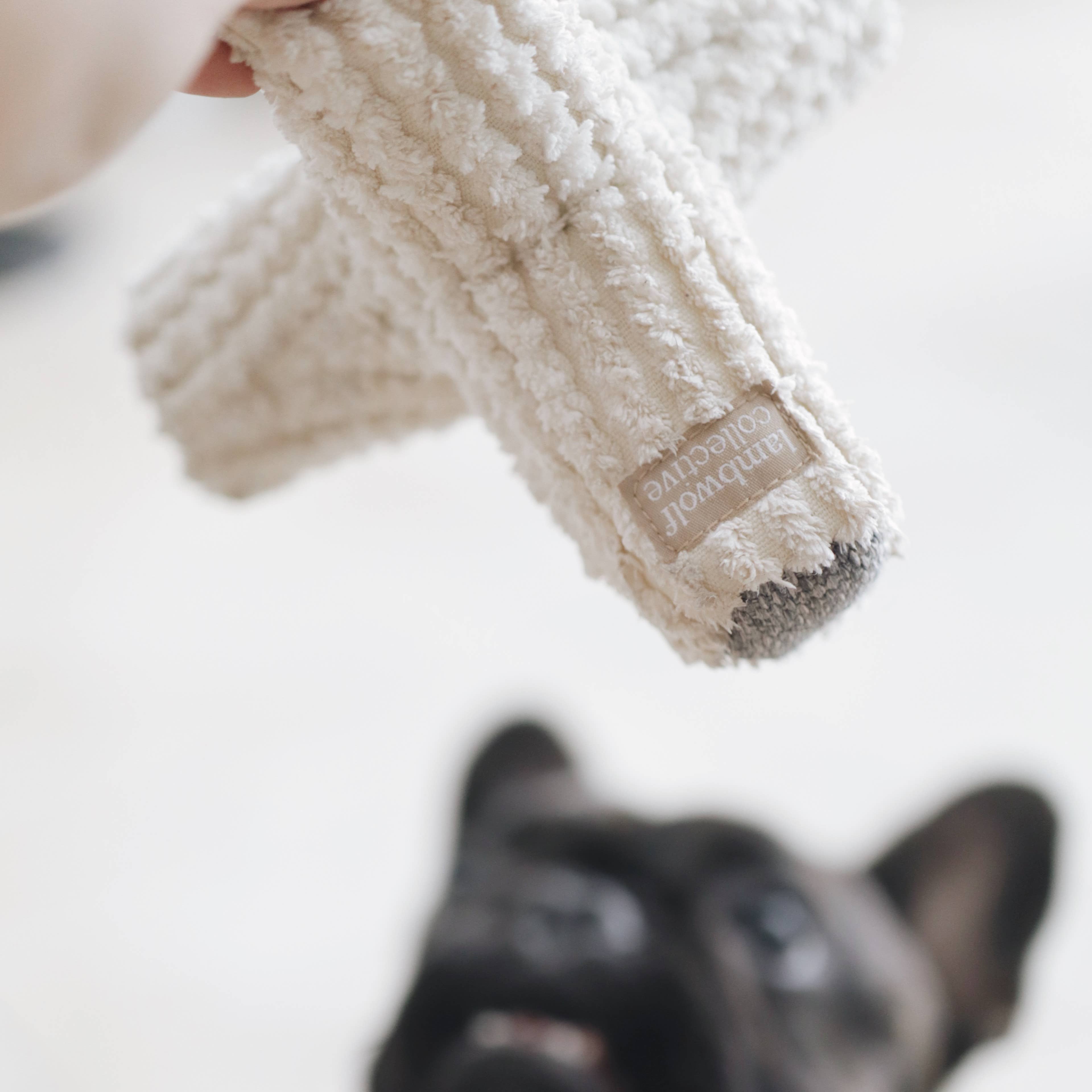 Lambwolf Collective – Großhandel Haustierspielzeug – Hund – BREUER Hundespielzeug zur Beschäftigung2