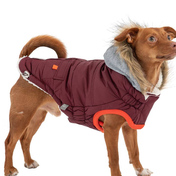 GF Pet Winter Sailor Parka - Burgundy for wholesale by GF Pet