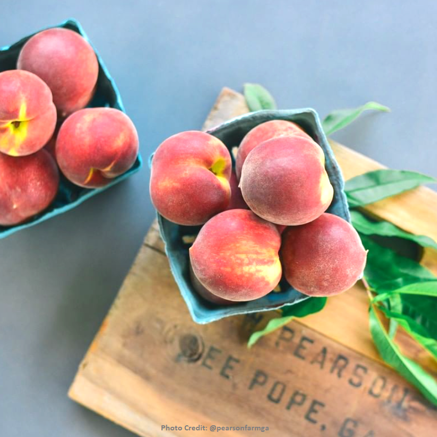 Georgia Jams - Wholesale Jam/Jelly - Honey Peach - 9 oz4