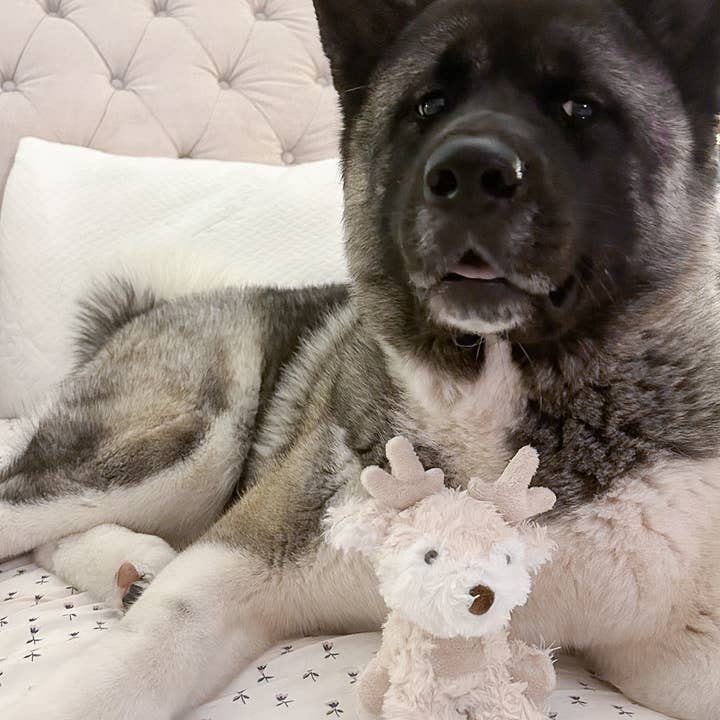 Fur Elise Pets - Wholesale Pet Plush Toy - Dog - Koko Mini Plushie16