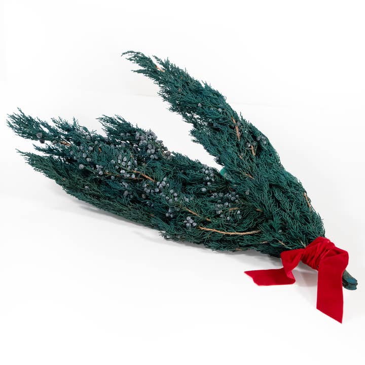 Andaluca - Wholesale Dried/Pressed Flowers - Preserved Juniper Bundle #233