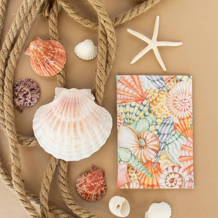 The Willowbrook Company - Wholesale Sachet - Fresh Scents | Sea Shells Sachets | Coastal, Summer