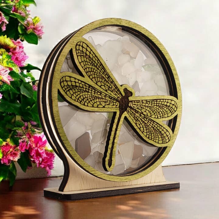 Vitrine d'exposition en verre de mer libellule, grande pour la vente par Sea Glass Displays