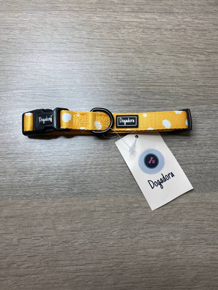 Sunny Side Up Dog Collar for wholesale by Dogadora