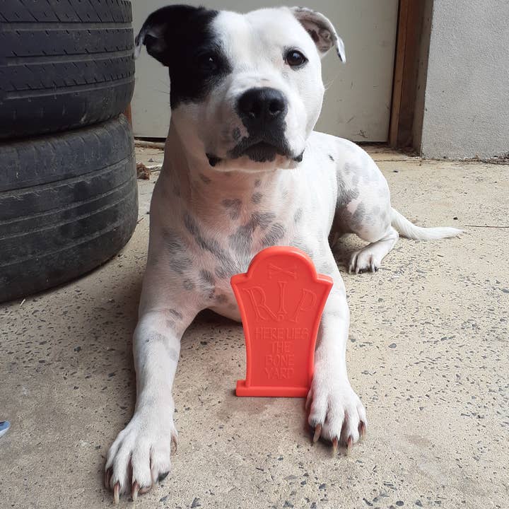 Rover Pet Products – Großhandel Haustier-Kauspielzeug – Hund – Nylon Grabstein3