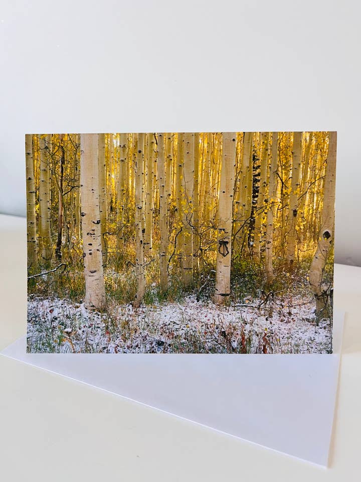 Notecard - Guardsman Aspen for wholesale by Past & Present Photography