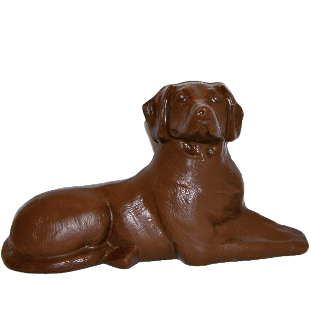 Enjou Chocolat - Wholesale Chocolate - Chocolate Chocolate Lab0