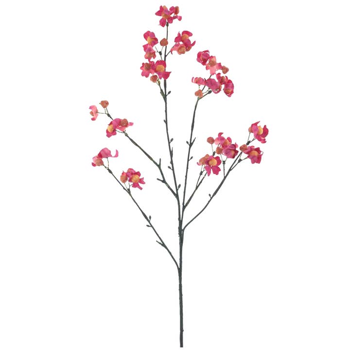 Fusaggine, L66cm, Rosa per la vendita all'ingrosso da parte di Vosteen