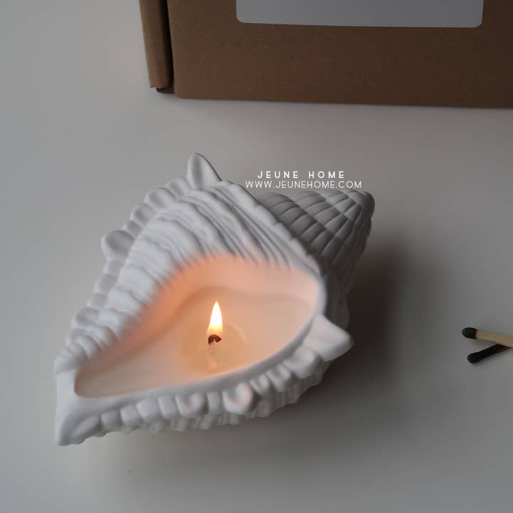 Jeune Home - Wholesale Jar/filled candle - Conch shell custom scented candle | Summer decor 1