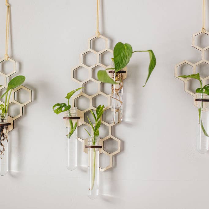 PlantsNsht - Wholesale Hanging Planter - 3 Tube Honeycomb Hanging Propagation Station4