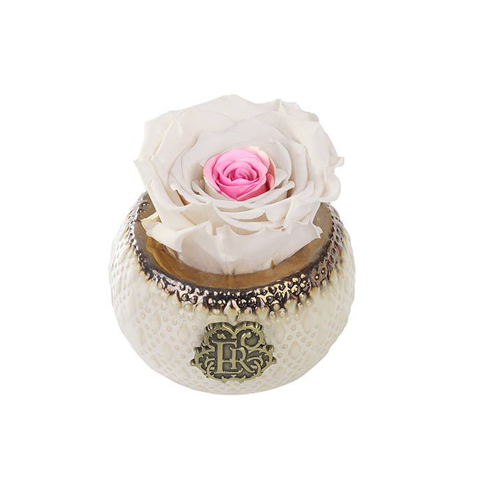 Eternal Roses® - Wholesale Artificial Flowers - Mini Soho Classic Eternal Luxury Rose23