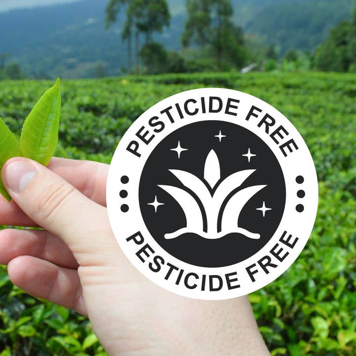 Biomatea - Wholesale Health/Detox Tea - 500g Stock Pack Premium Ceremonial Matcha Powder from Kagoshima Japan, Pesticide-Free Matcha Tea8